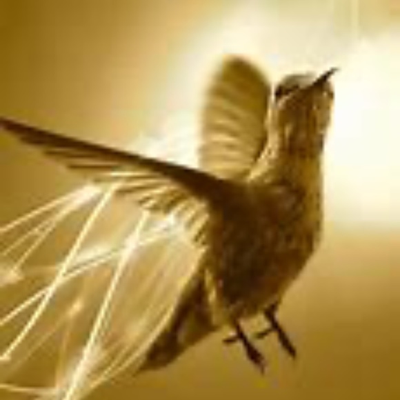 ✨🎄☃️COMMENT FULL !!•*•,Go To New Listing !!☃️🎄✨ - Picture 4 of 10